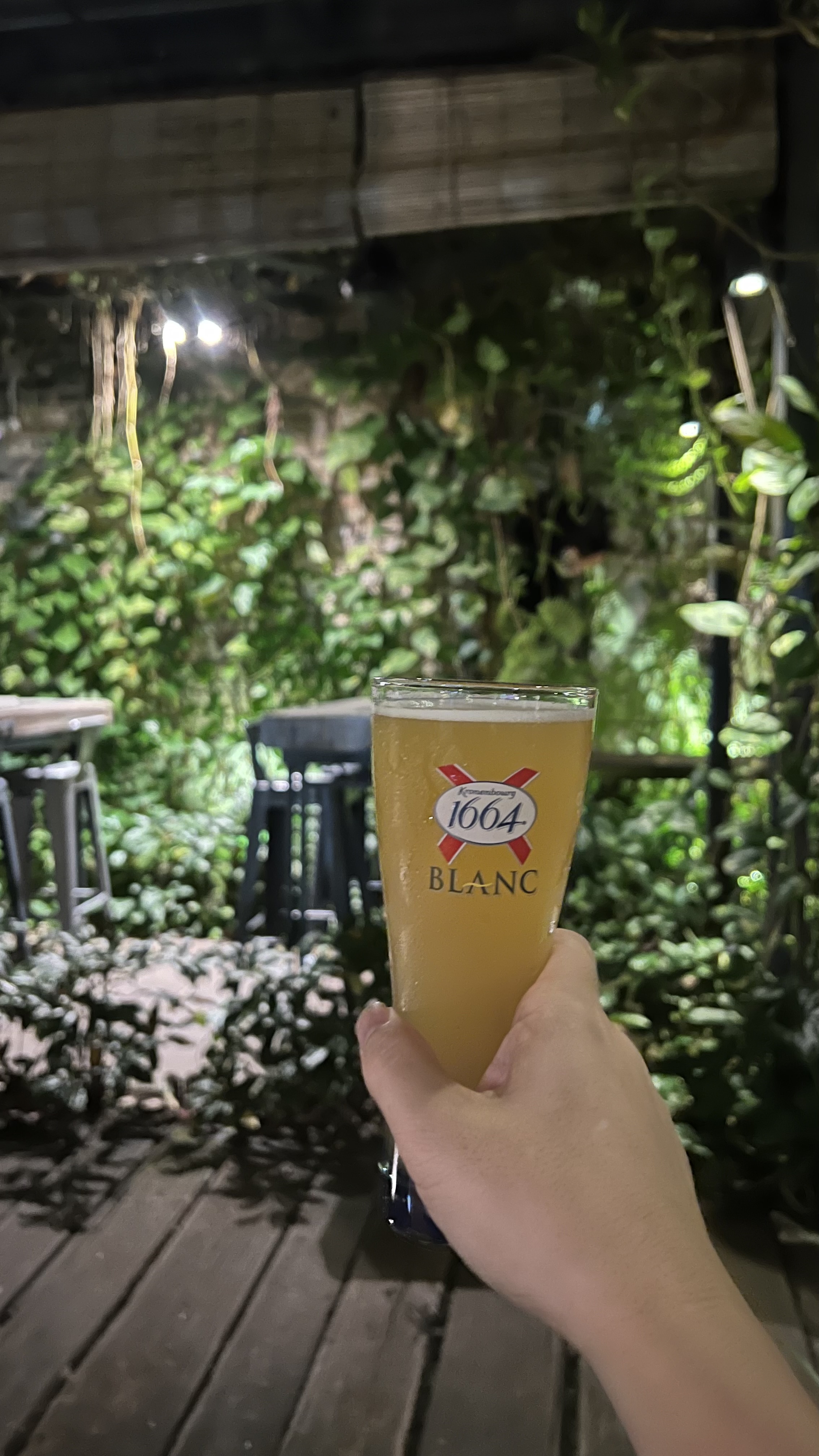A glass of beer in the leafy dining area